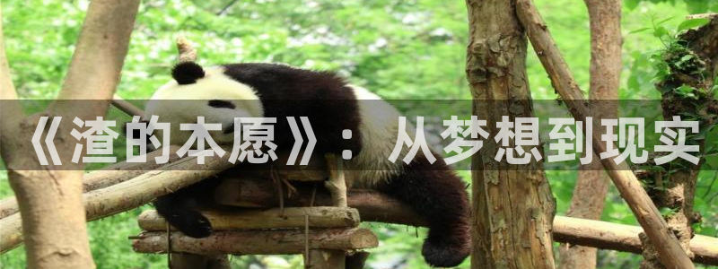 在线动画动漫下载age动漫