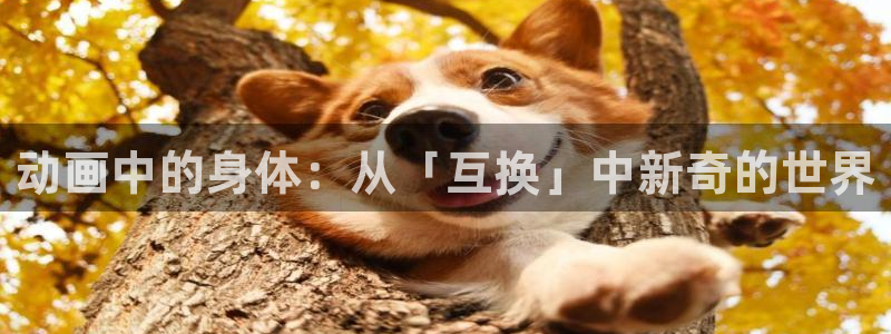age动漫官网在线入口：动画中的身体：从「互换」中新奇的世界