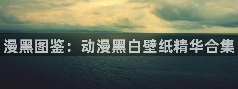 age动漫网下载：漫黑图鉴：动漫黑白壁纸精华合集