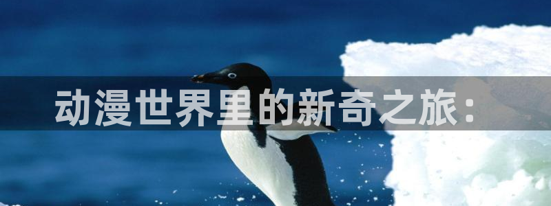 age专注动漫的门户网站：动漫世界里的新奇之旅：