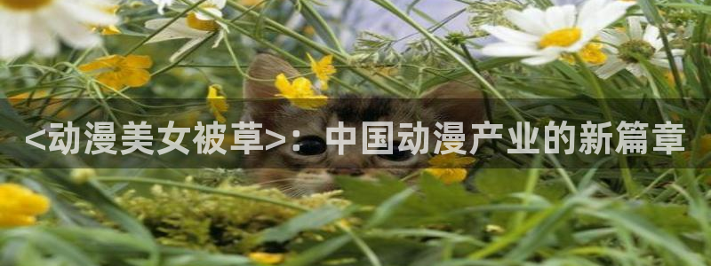 age动漫官网网址：<动漫美女被草>：中国动漫产业的新篇章