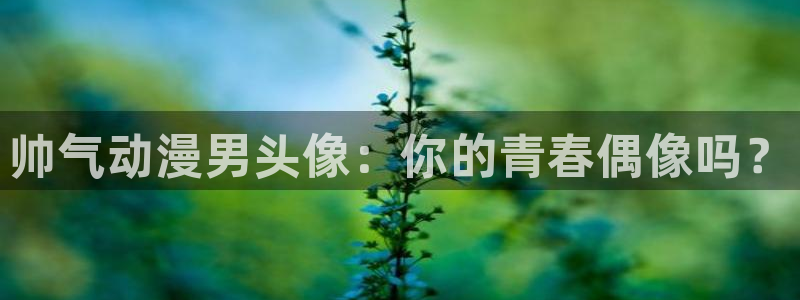 age动漫omofun：帅气动漫男头像：你的青春偶像吗？