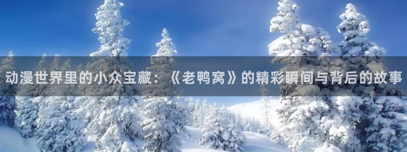 age动漫网下载：动漫世界里的小众宝藏：《老鸭窝》的精彩瞬间与背后的故事