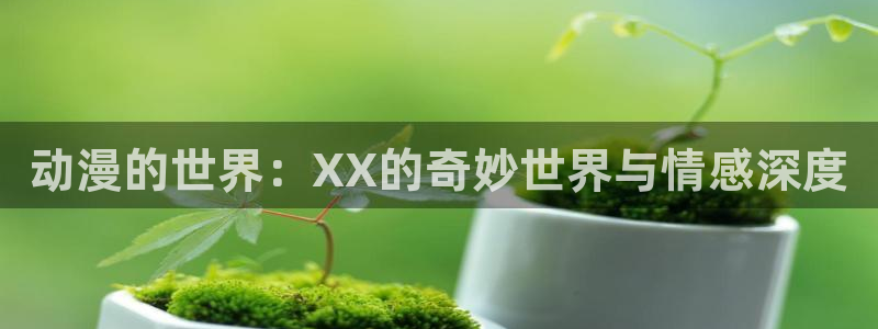 age动漫正版网：动漫的世界：XX的奇妙世界与情感深度