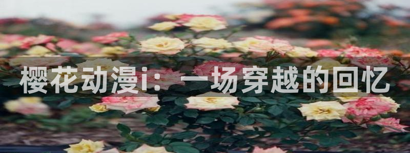 下载age动漫：樱花动漫i：一场穿越的回忆