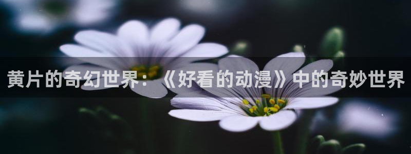 韩国漫画平台kakaopage
