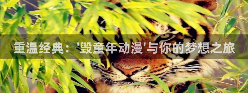下载age动漫：重温经典：\'毁童年动漫\'与你的梦想之旅