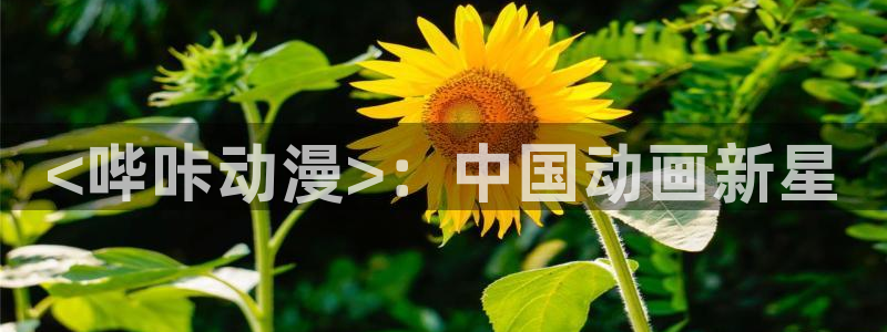 age动漫下载动漫全免费：<哔咔动漫>：中国动画新星