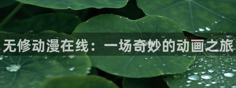colamanage漫画：无修动漫在线：一场奇妙的动画之旅