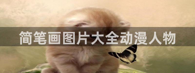age动漫官网版入口：简笔画图片大全动漫人物