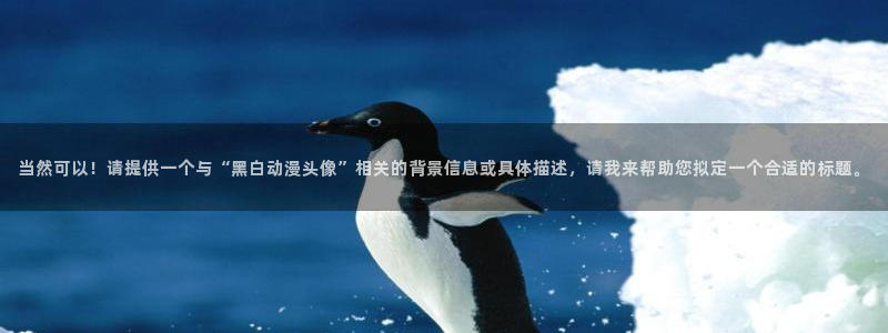 age动漫网：当然可以！请提供一个与“黑白动漫头像”相关的背景信息或具体描述，请我来帮助您拟定一个合适的标题。