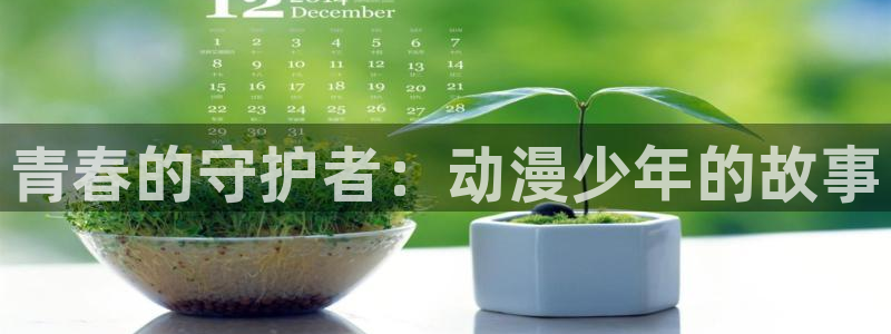 age动漫网下载：青春的守护者：动漫少年的故事