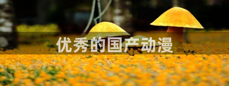 age专注动漫的门户网站：优秀的国产动漫