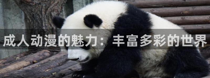age动漫官网在线入口：成人动漫的魅力：丰富多彩的世界