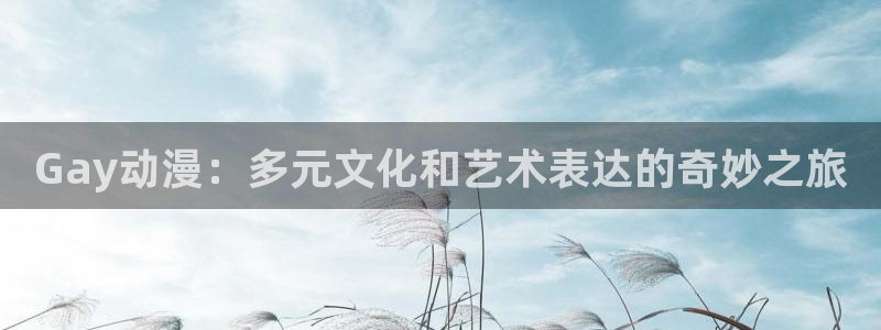 age动漫：Gay动漫：多元文化和艺术表达的奇妙之旅