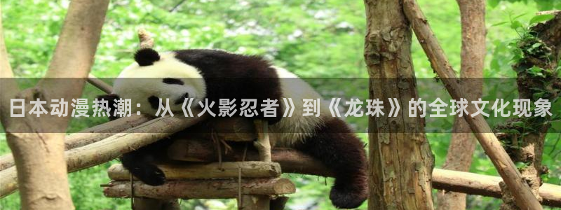 kakaopage韩漫官网：日本动漫热潮：从《火影忍者》到《龙珠》的全球文化现象