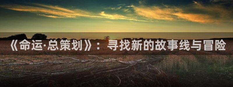 age动漫下载入口：《命运·总策划》：寻找新的故事线与冒险