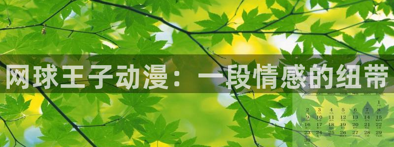 age动漫官网樱花动漫：网球王子动漫：一段情感的纽带