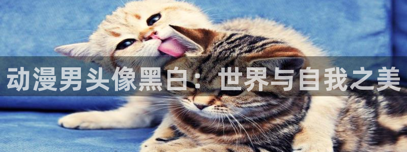 colamanage漫画官网：动漫男头像黑白：世界与自我之美