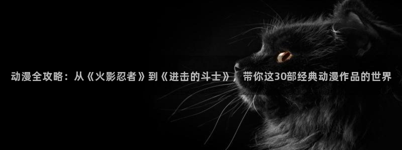 age动漫网官网入口：动漫全攻略：从《火影忍者》到《进击的斗士》，带你这30部经典动漫作品的世界