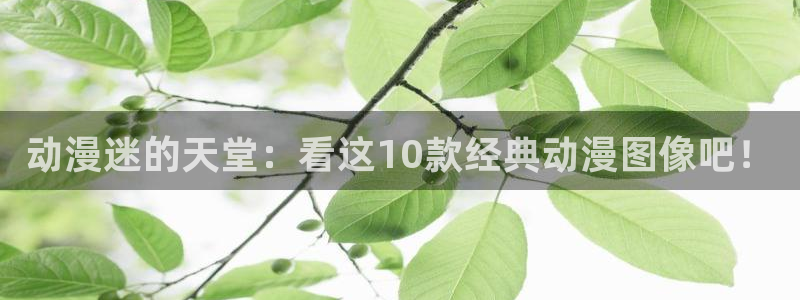 age动漫官网樱花动漫：动漫迷的天堂：看这10款经典动漫图像吧！