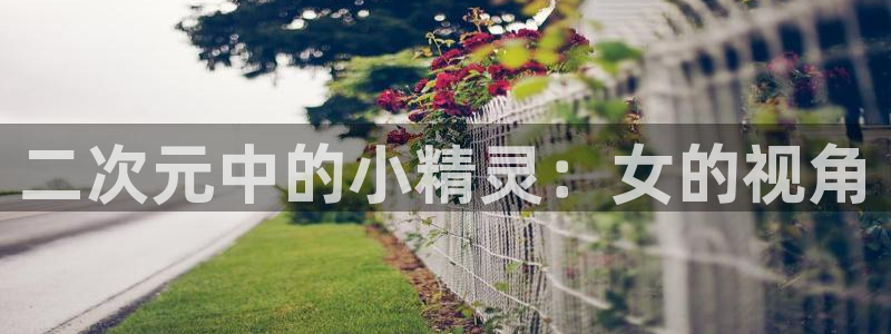 age动漫omofun：二次元中的小精灵：女的视角