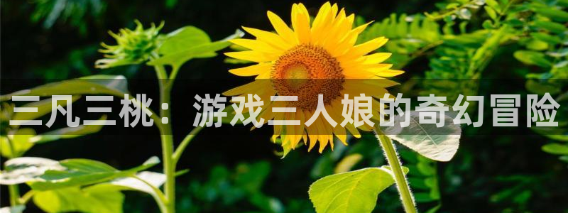 age动漫网：三凡三桃：游戏三人娘的奇幻冒险