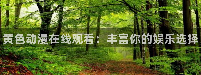 age动漫专注动漫的门户网站：黄色动漫在线观看：丰富你的娱乐选择