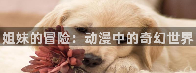 colamanage漫画官网：姐妹的冒险：动漫中的奇幻世界