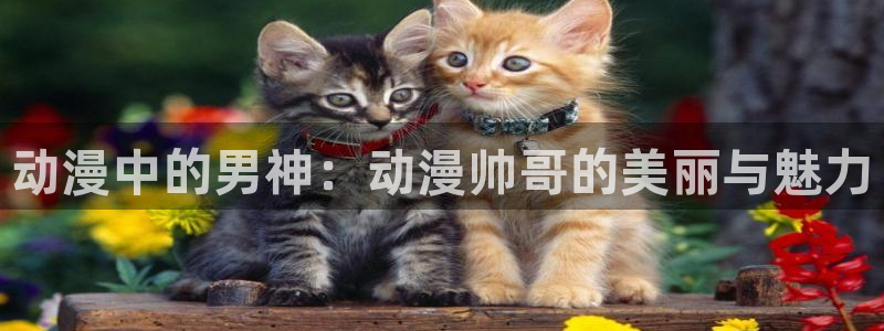 age动漫官网入口老版本：动漫中的男神：动漫帅哥的美丽与魅力