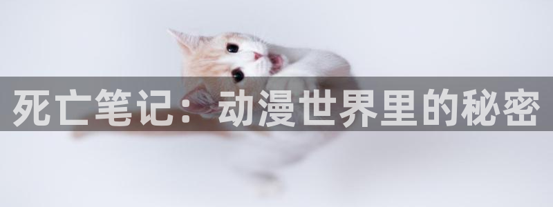 下载age动漫：死亡笔记：动漫世界里的秘密