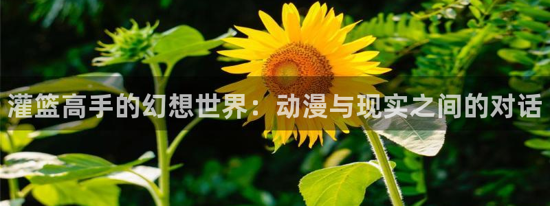 age动漫官网网址：灌篮高手的幻想世界：动漫与现实之间的对话