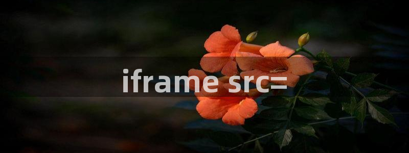 age动漫omofun：iframe src=