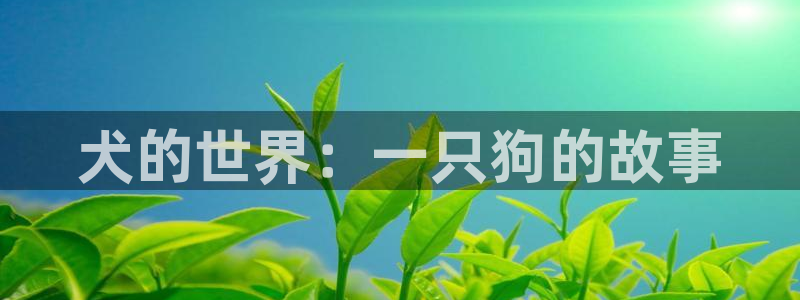 age动漫网下载：犬的世界：一只狗的故事