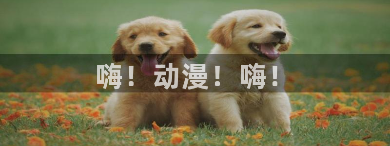 age动漫：嗨！动漫！嗨！