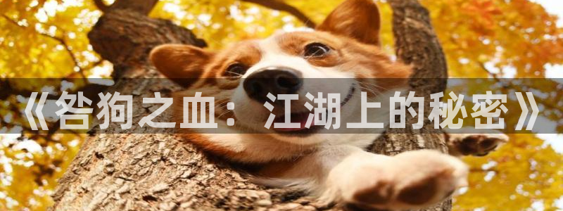 age动漫下载网