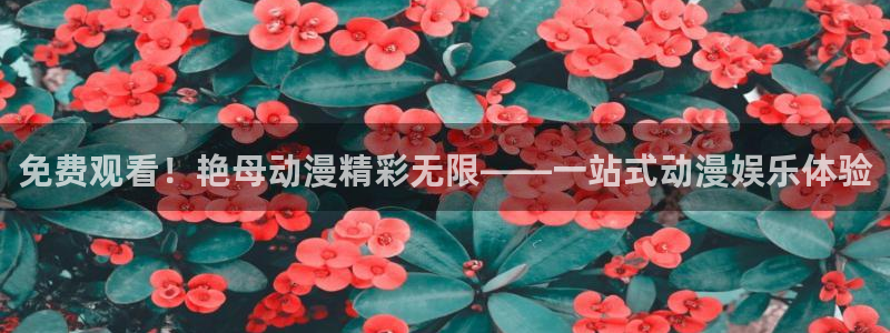 age动漫下载入口：免费观看！艳母动漫精彩无限——一站式动漫娱乐体验